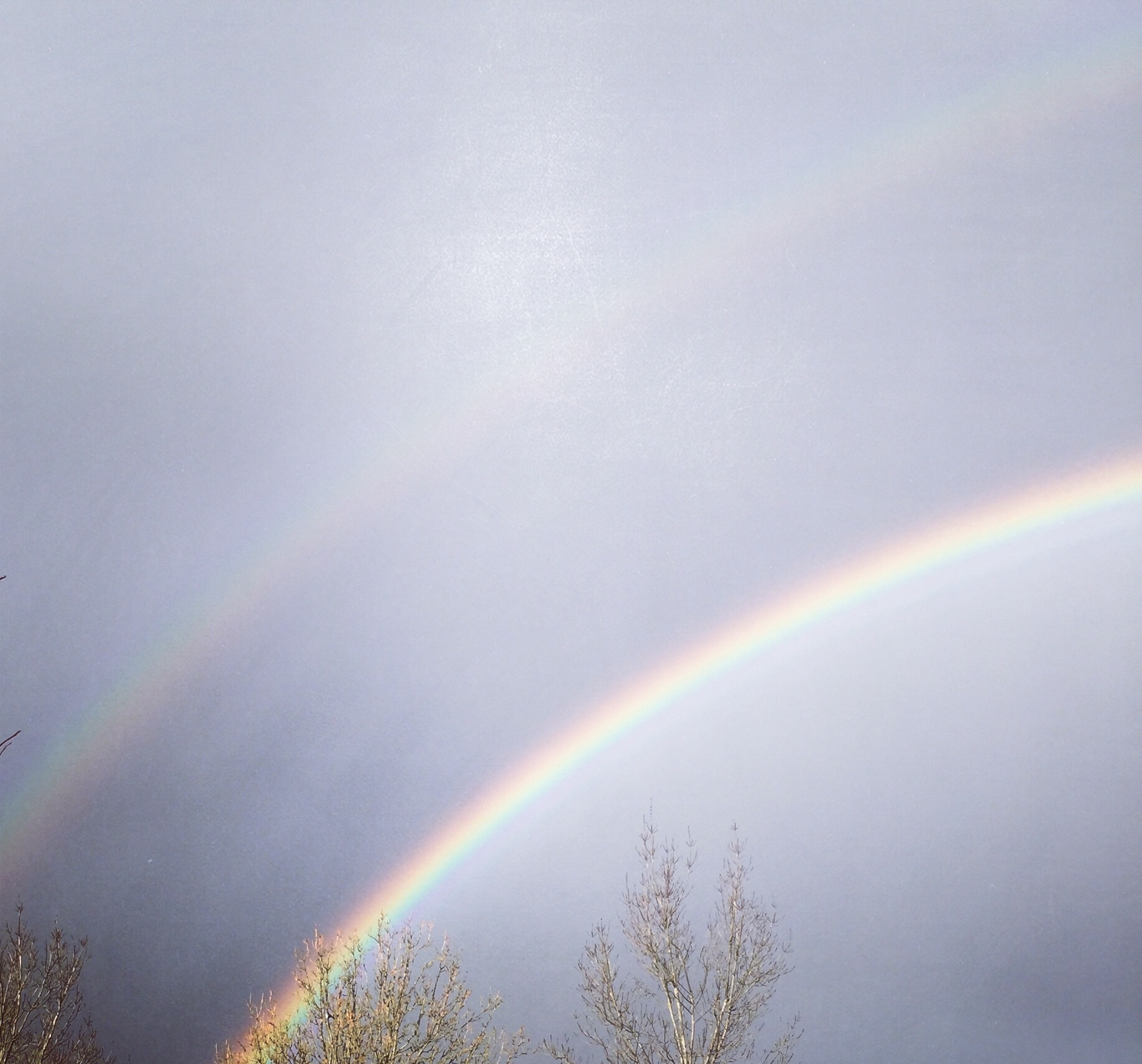 Energy-Attunement-Medium-Psychic